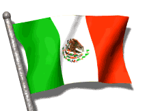 The flag of Mexico