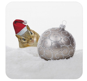 Cute Chipmunk Christmas Collection. Find an adorable gift here!