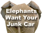 See how the elephants can get you cash for your junk car. Click Here.