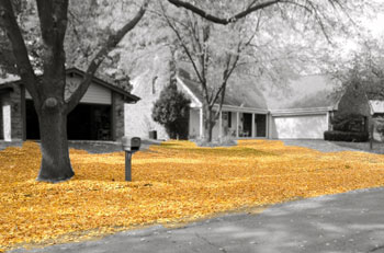 Indian Summer Golden Leaves gifts the remind us of the beautiful days of Autumn.