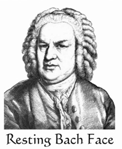 Resting Bach Face. Click for gift collection.