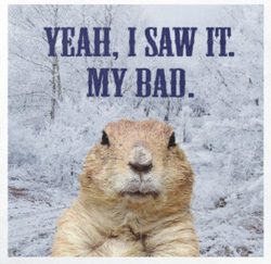 Get your humorous Groundhog Day napkins here...